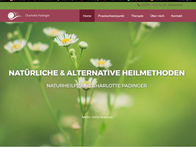 Referenz: Webseite Naturheilpraxis Padinger
